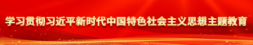 男女橾B学习贯彻习近平新时代中国特色社会主义思想主题教育